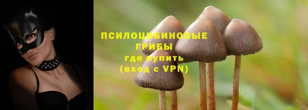 спиды Володарск