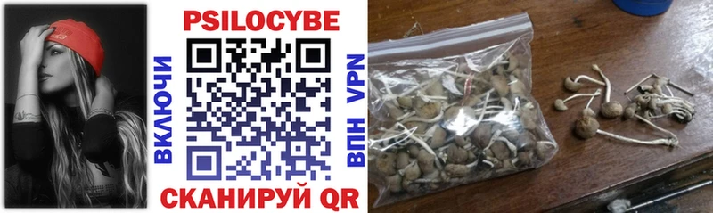 Псилоцибиновые грибы GOLDEN TEACHER Белгород